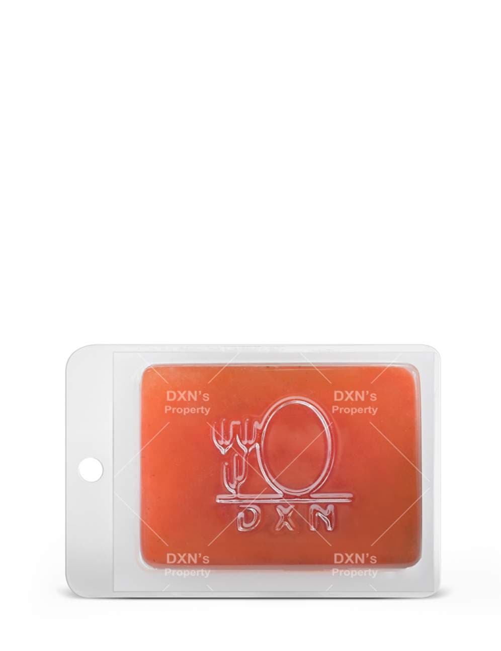 DXN Ganozhi Trans Soap