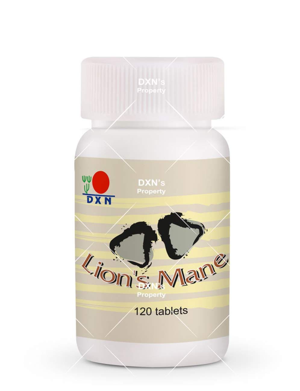 DXN Lion's Mane comprimés