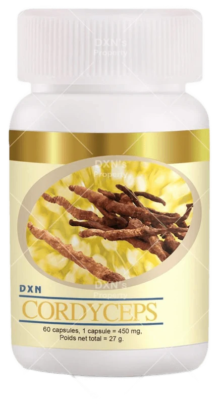 DXN Cordyceps 60 gélules
